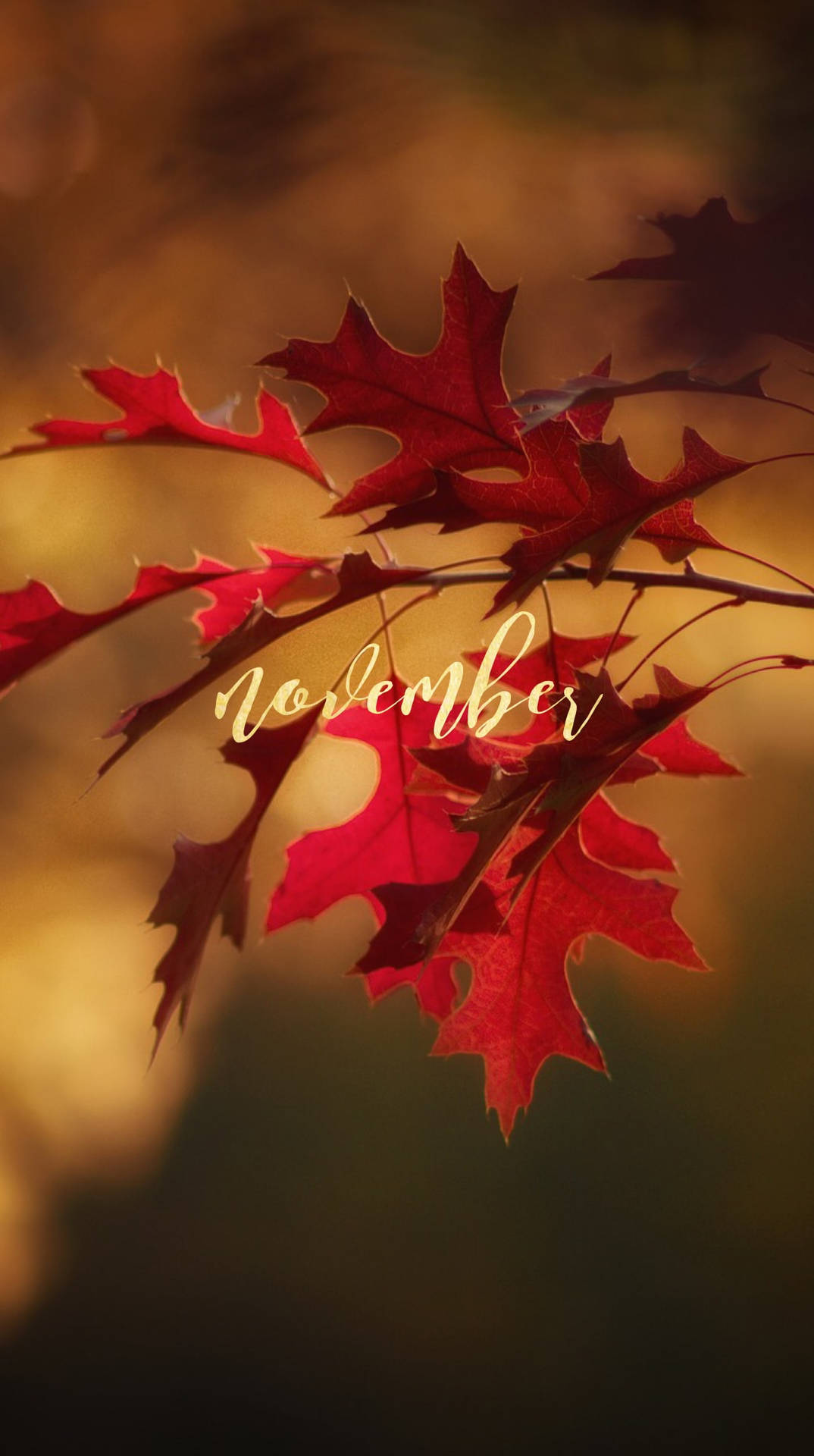 November Iphone Screen Background Background