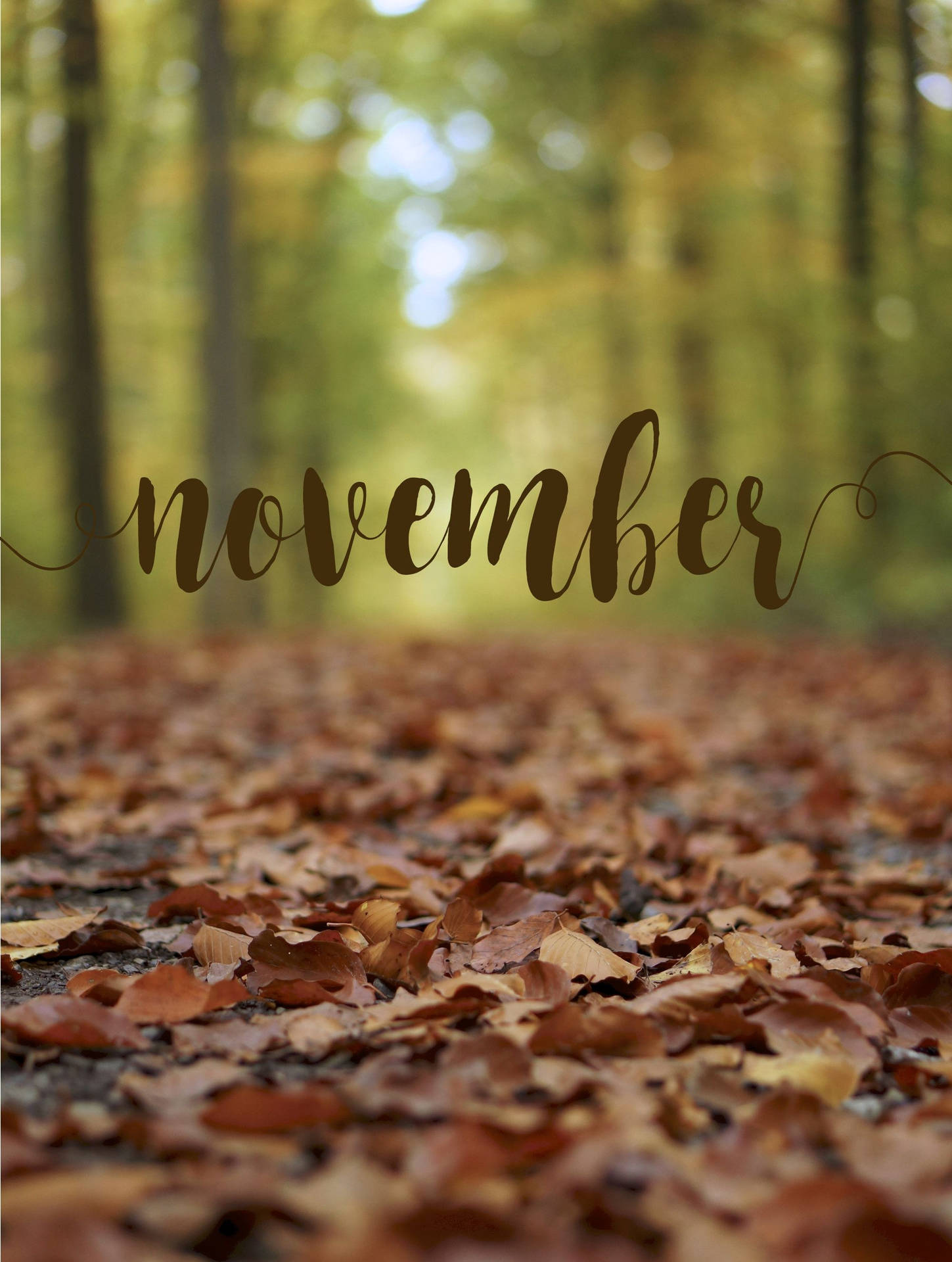 November Iphone Screensaver Theme Background