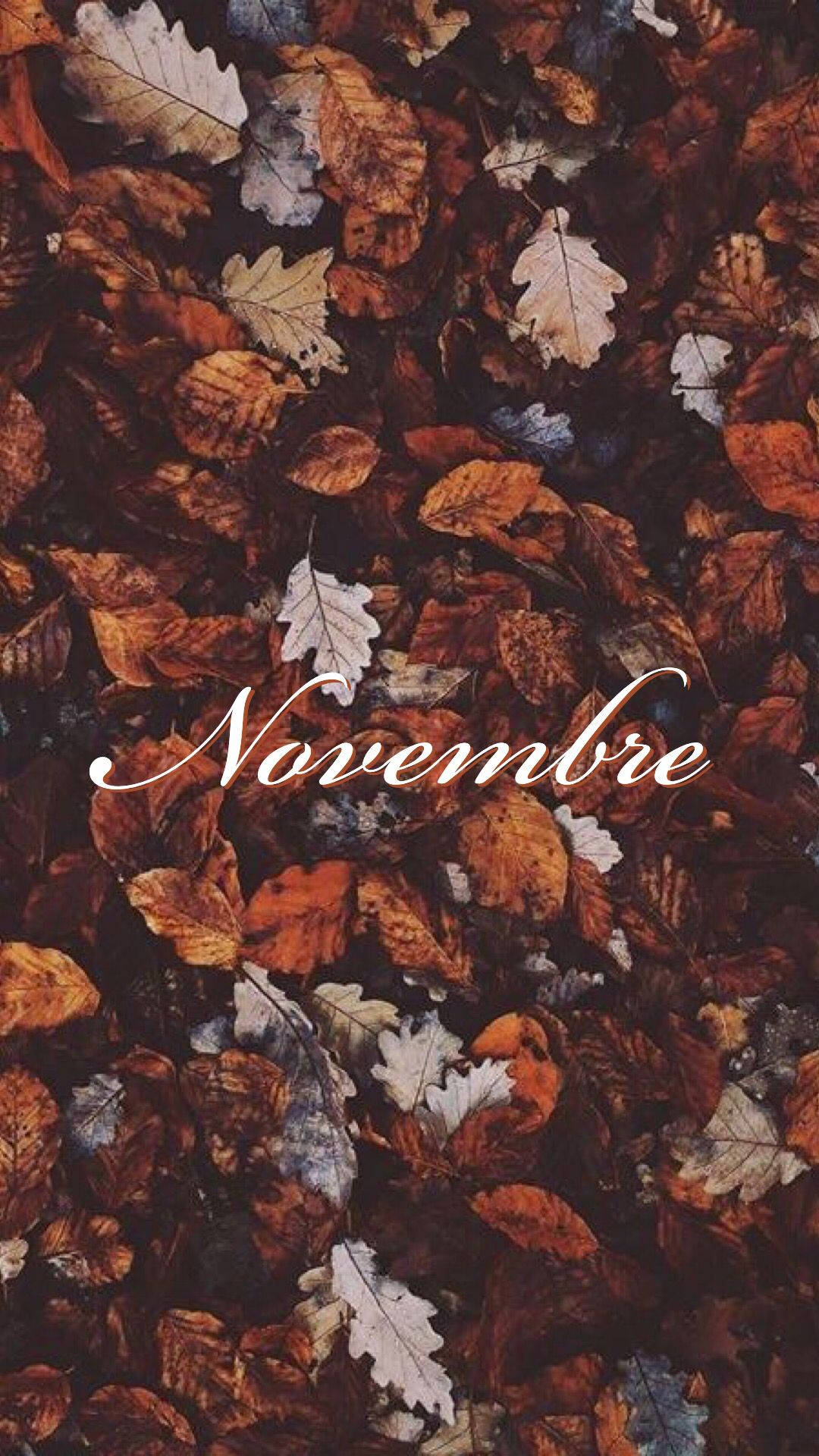 November - November - November - November - November - November - Nov Background