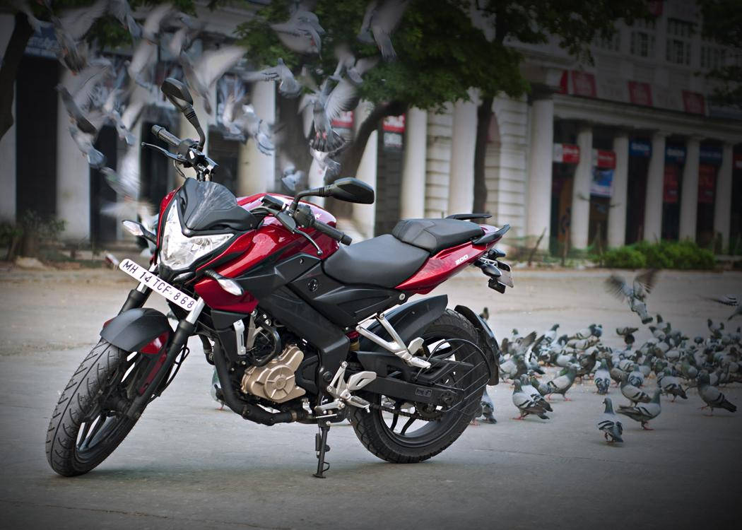 Ns 200 Black And Red Motorcycle Pigeons Background