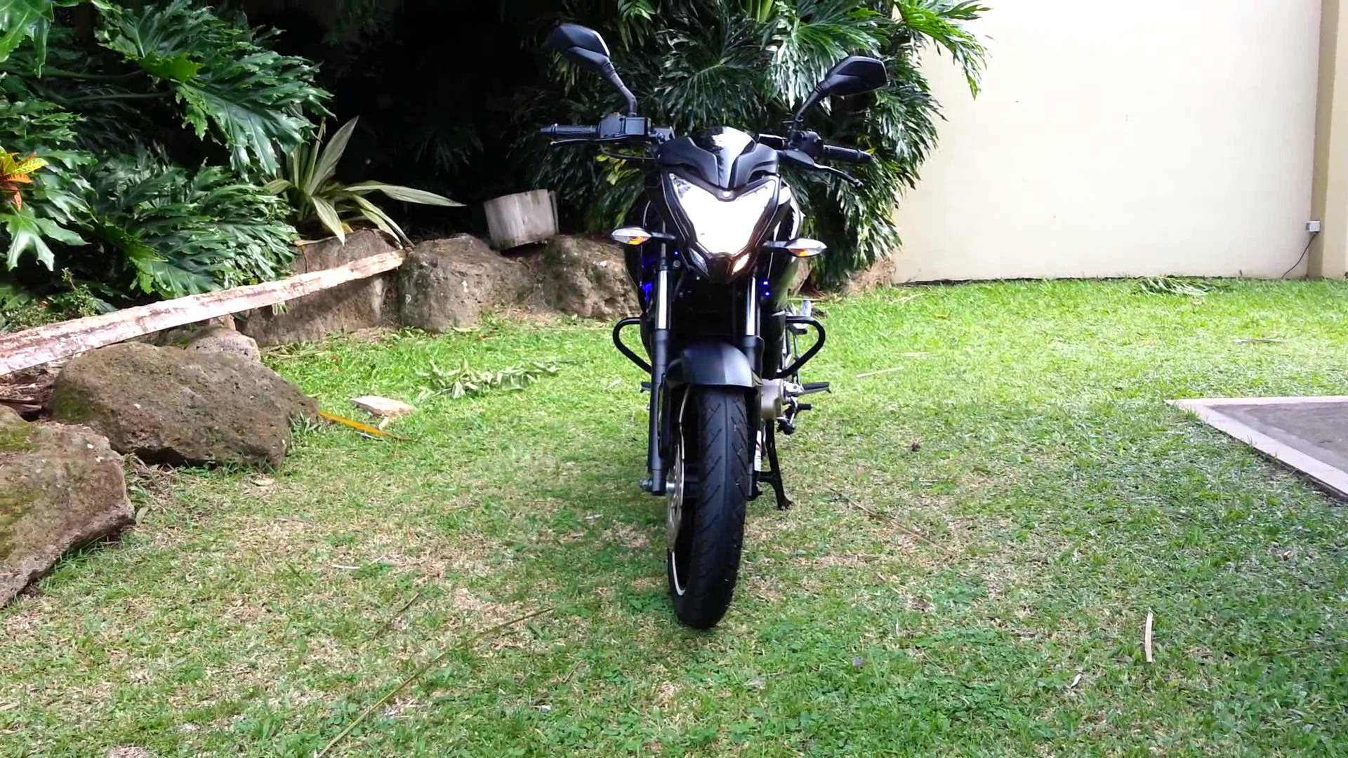 Ns 200 Motorcycle In Garden Background