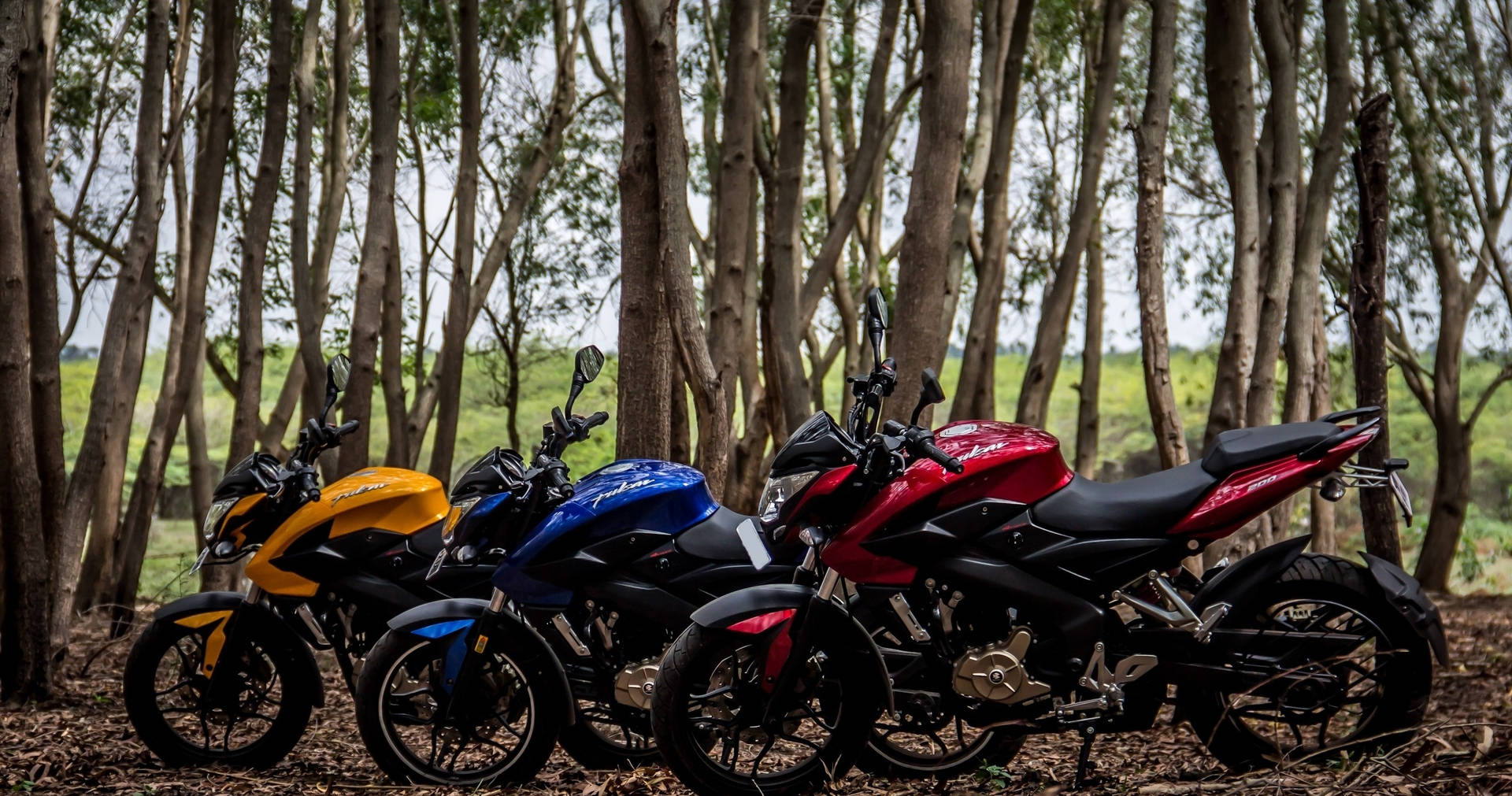 Ns 200 Motorcycles In Forest