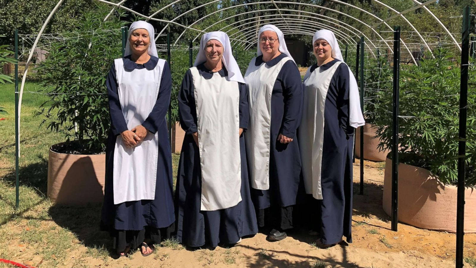 Nuns Of The Valley