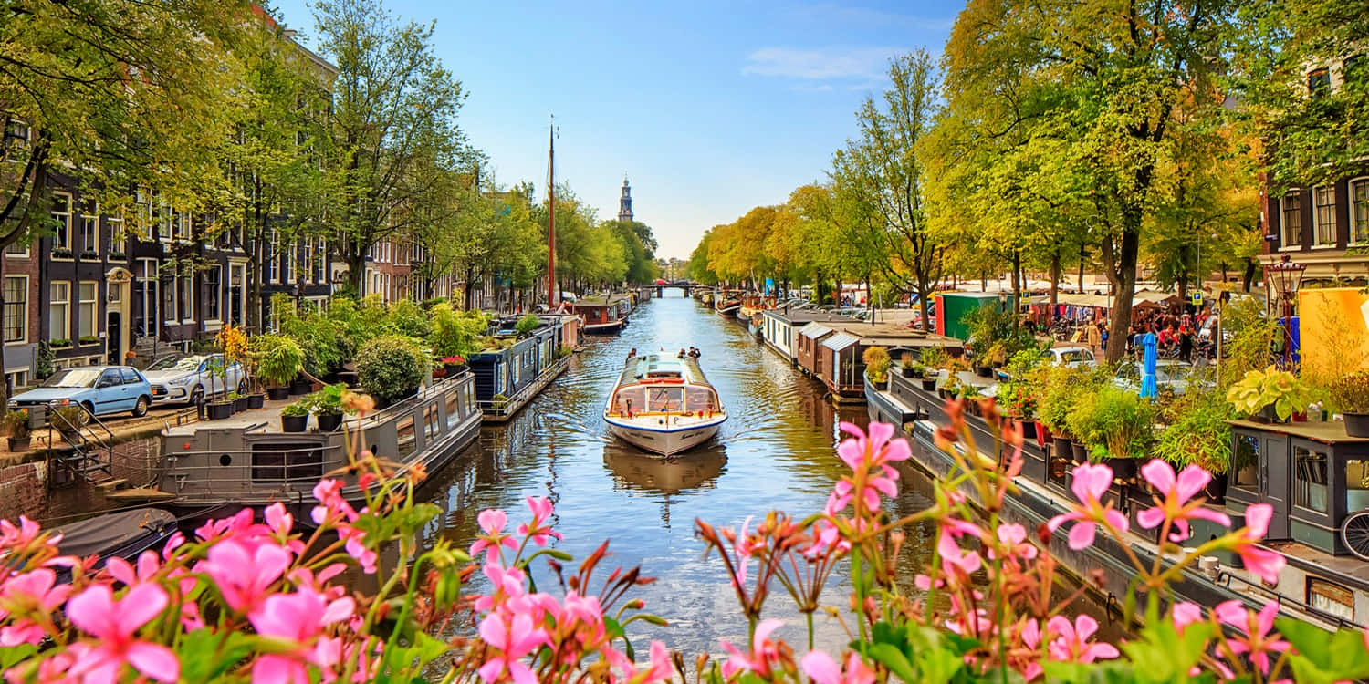 Nurture Your Soul In The Tranquil Amsterdam Spring Background