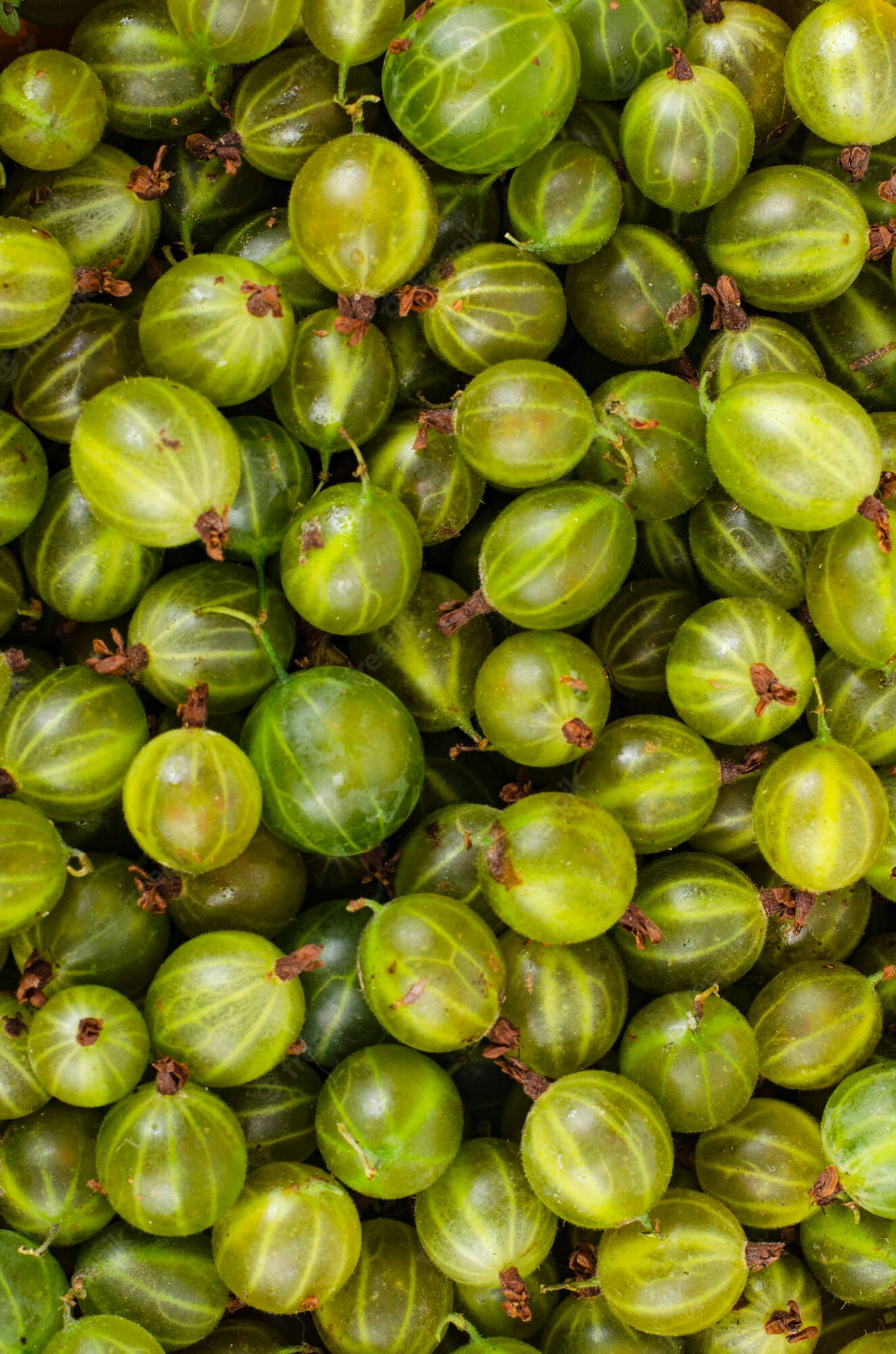 Nutritious Amla Gooseberries - A Source Of Natural Goodness Background