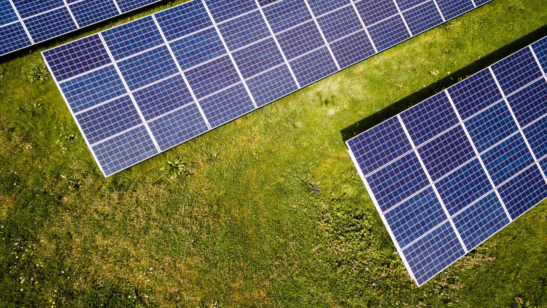 Nv Energy Panels On Grass Background