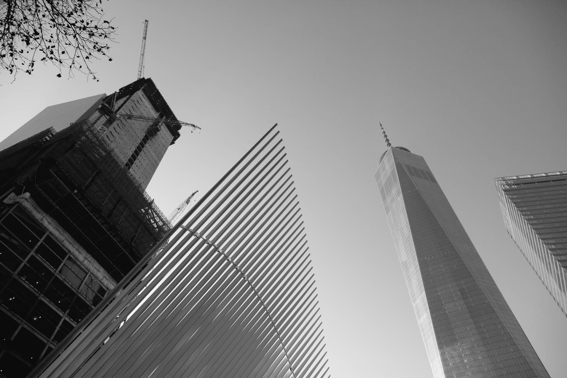 Nyc Black And White Buildings Background