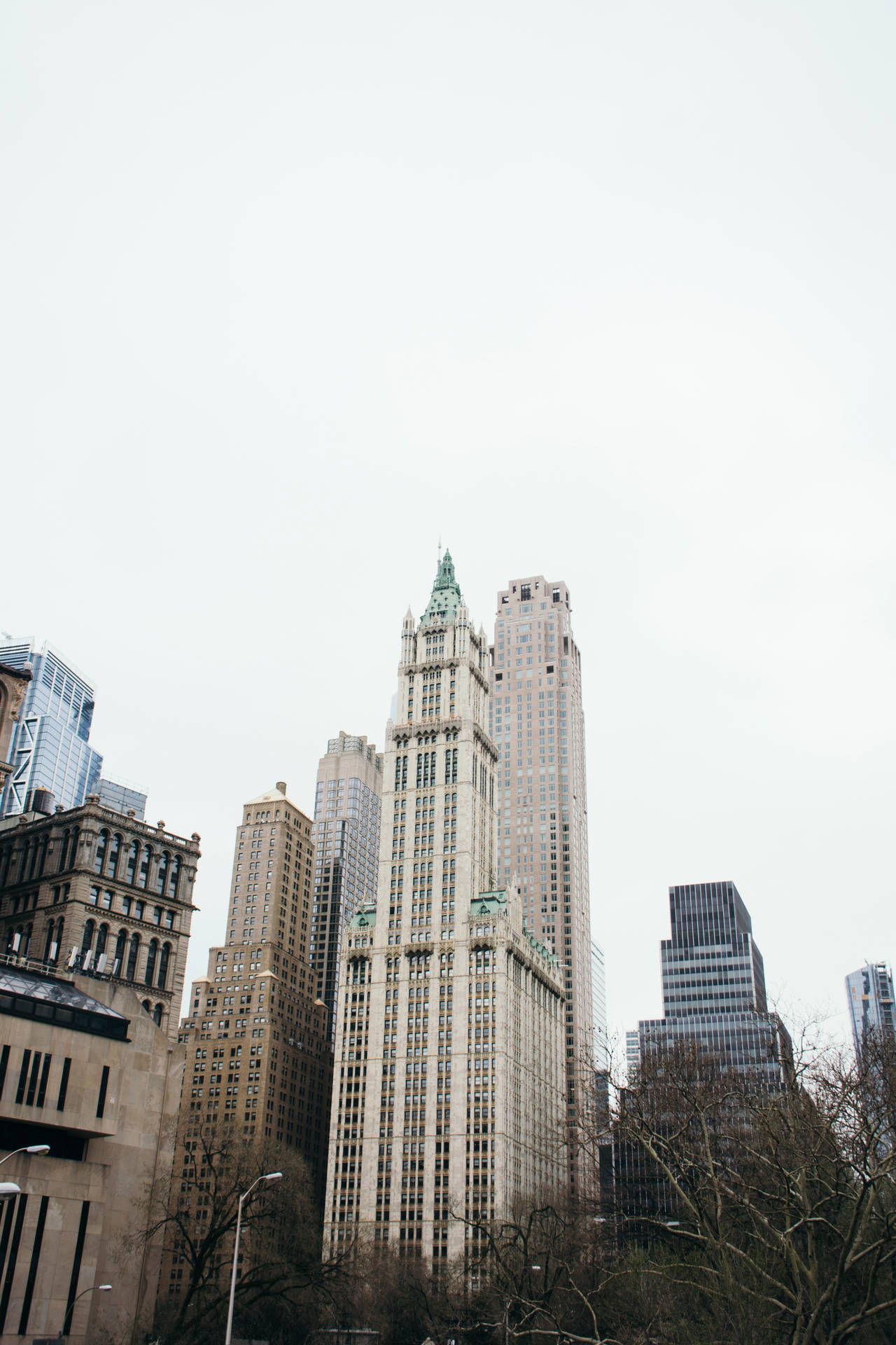Nyc Woolworth Building Background