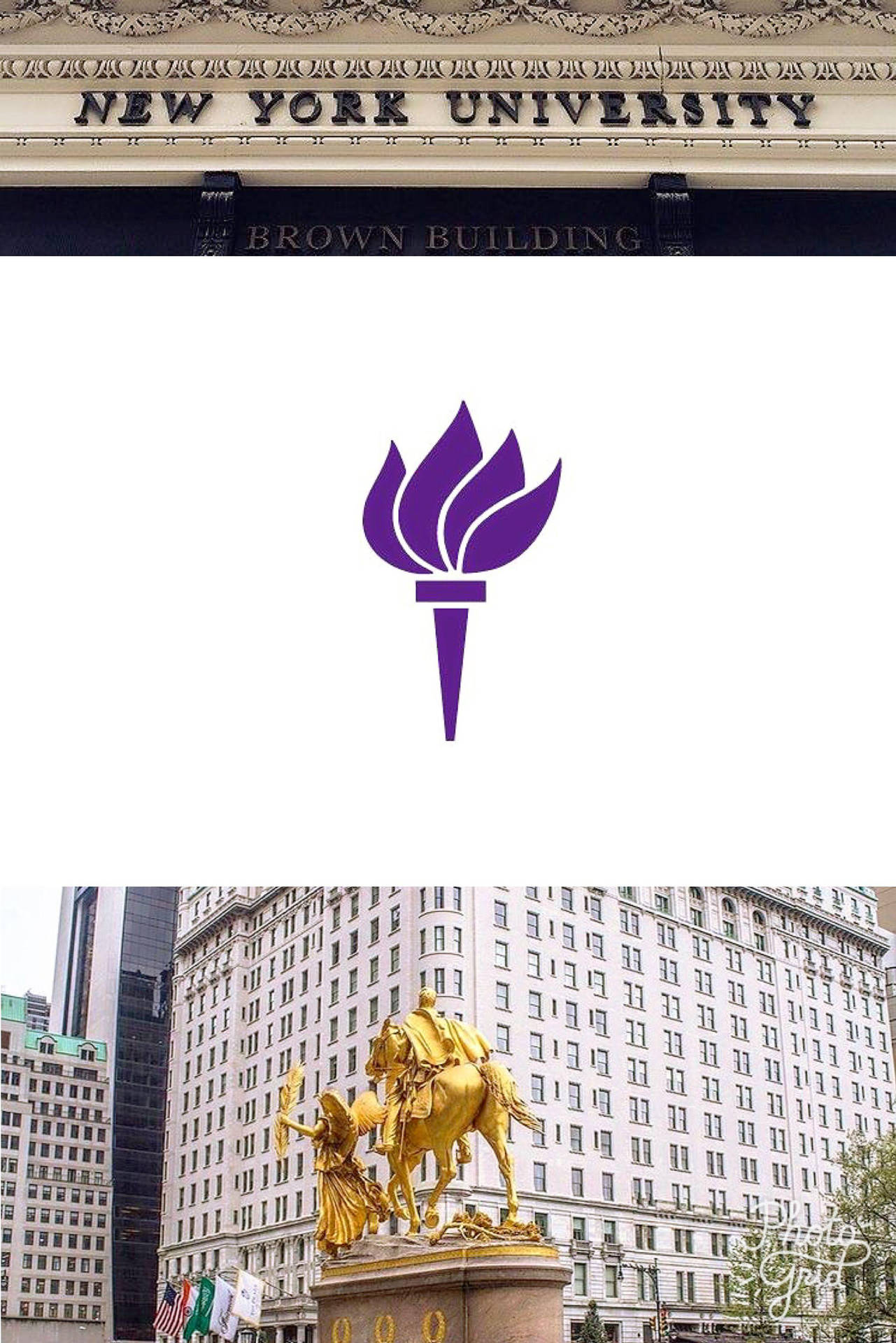 Nyu Purple Torch Background