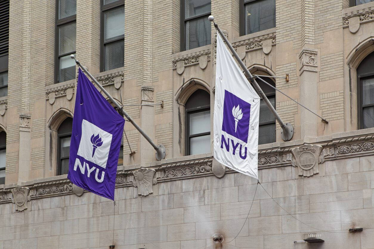 Nyu Steinhardt Banners Background