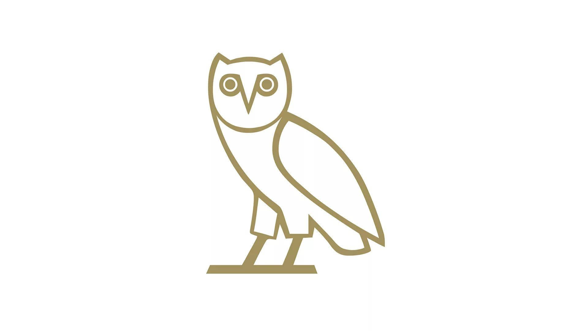 O V O Owl Logo Background