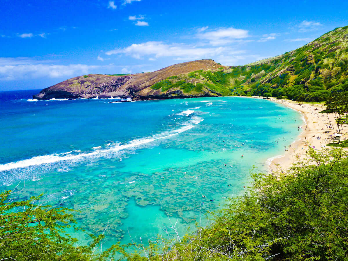 Oahu Beach With Clear Water Background