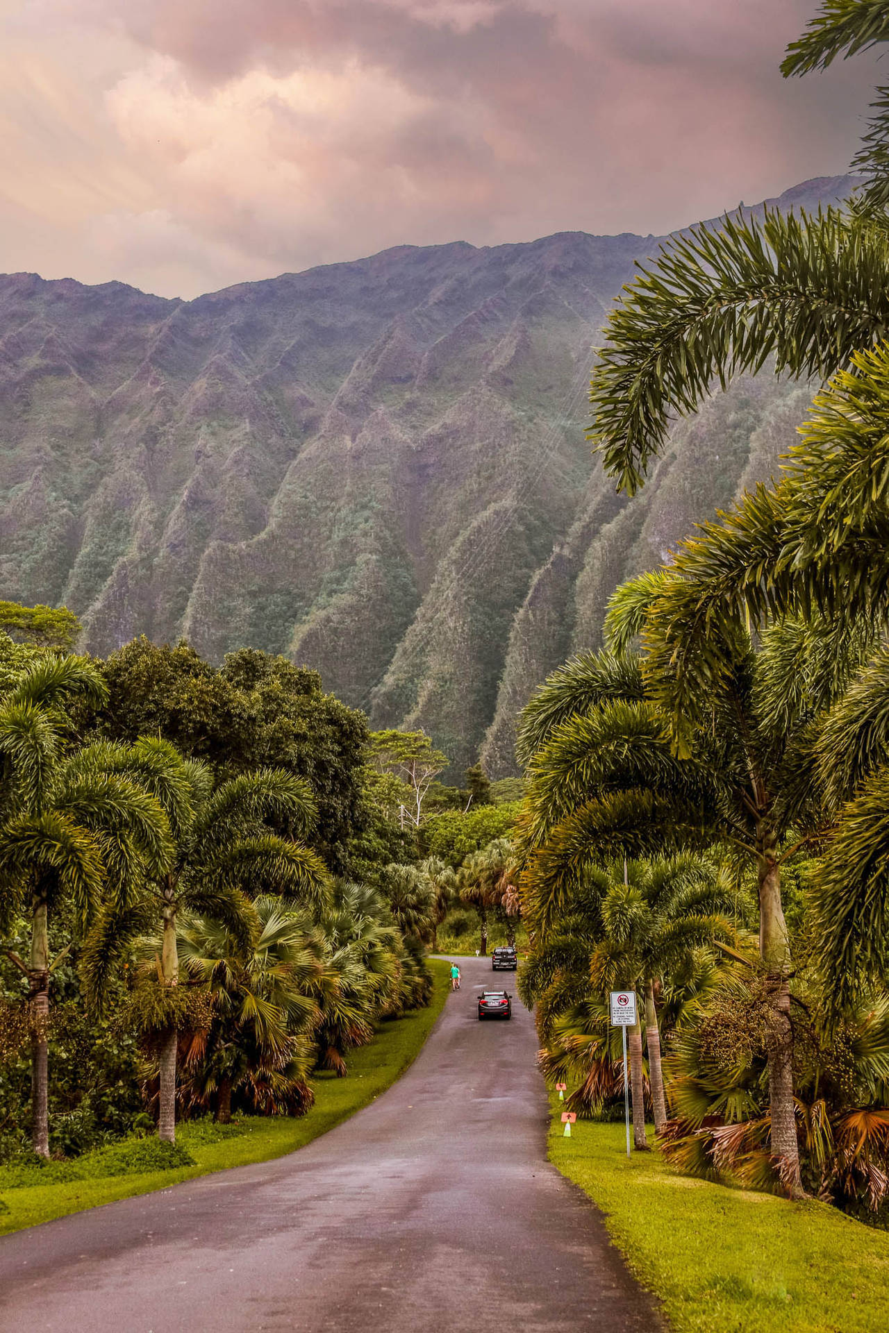 Oahu Botanical Garden During Afternoon