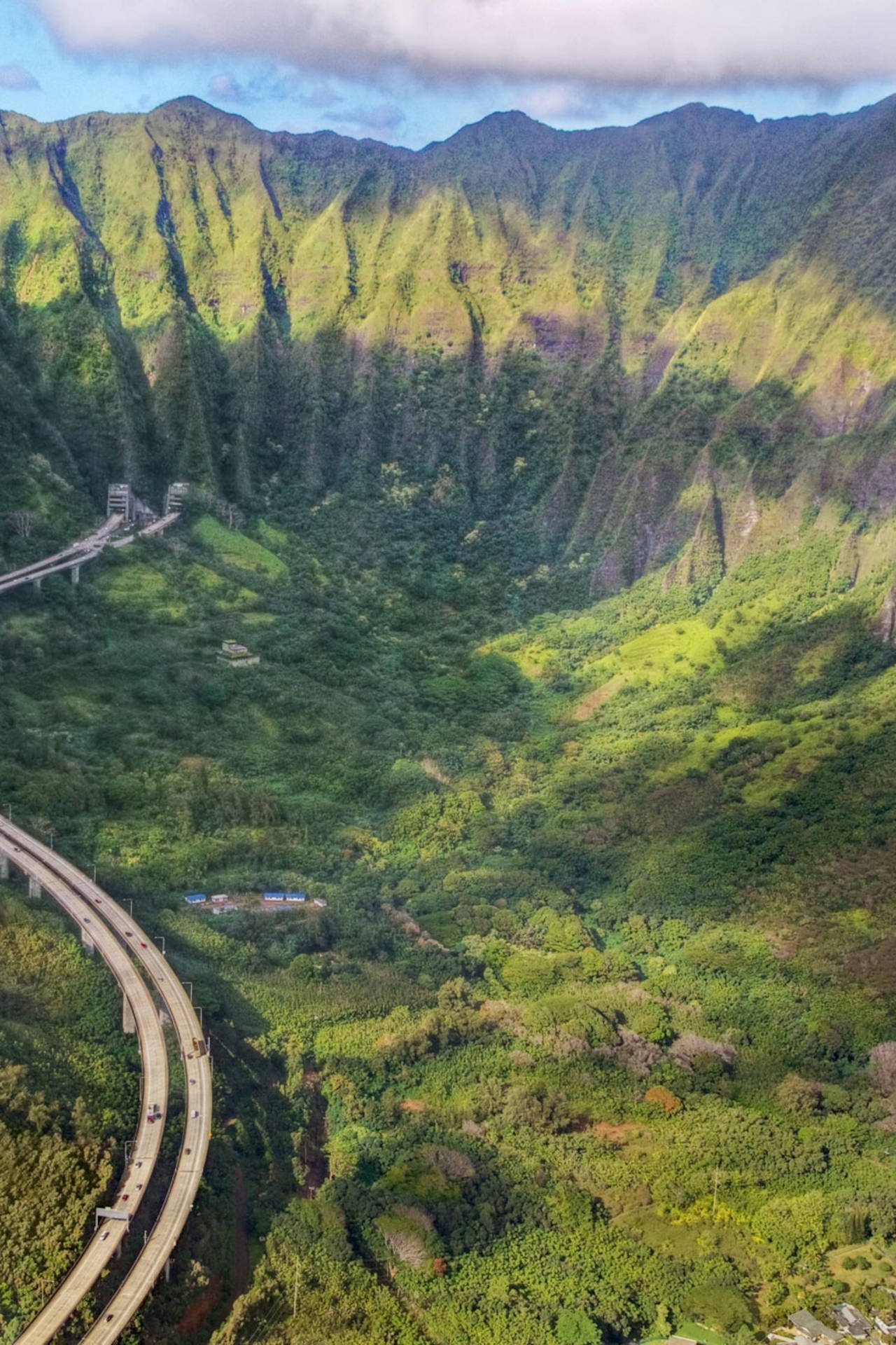 Oahu Greenery In Mountains