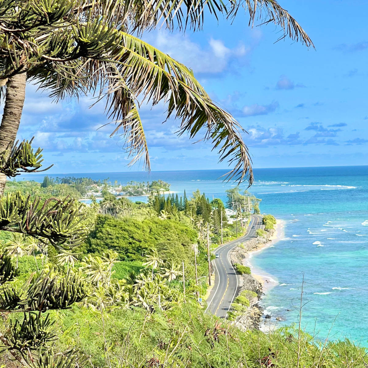 Oahu Road By Sea Background