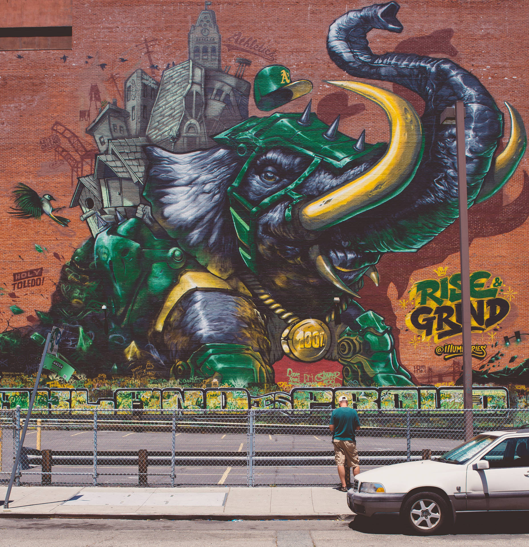 Oakland Athletics Elephant Graffiti Background