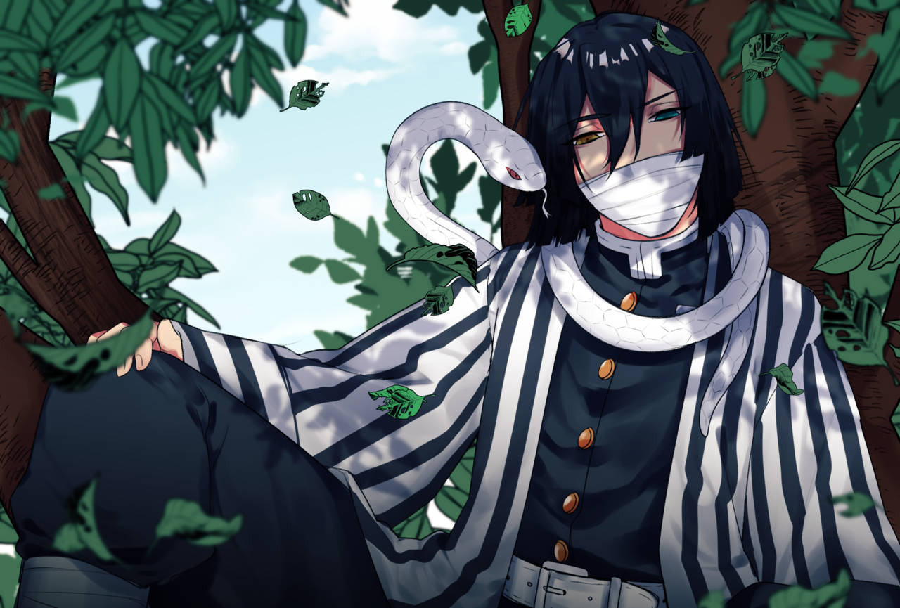 Obanai Iguro Under The Tree Background