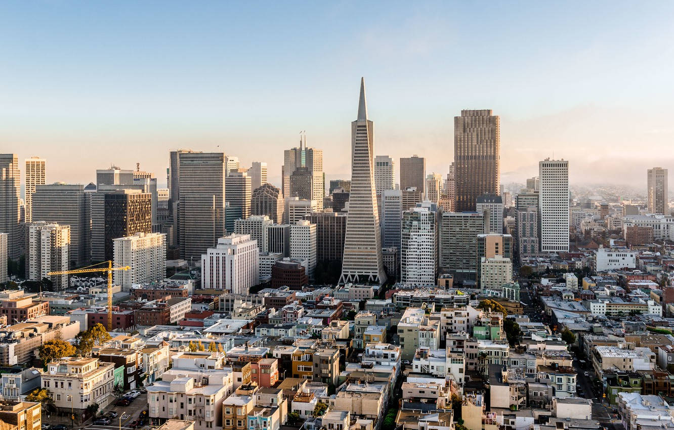 Observing San Francisco From Coit Tower Background