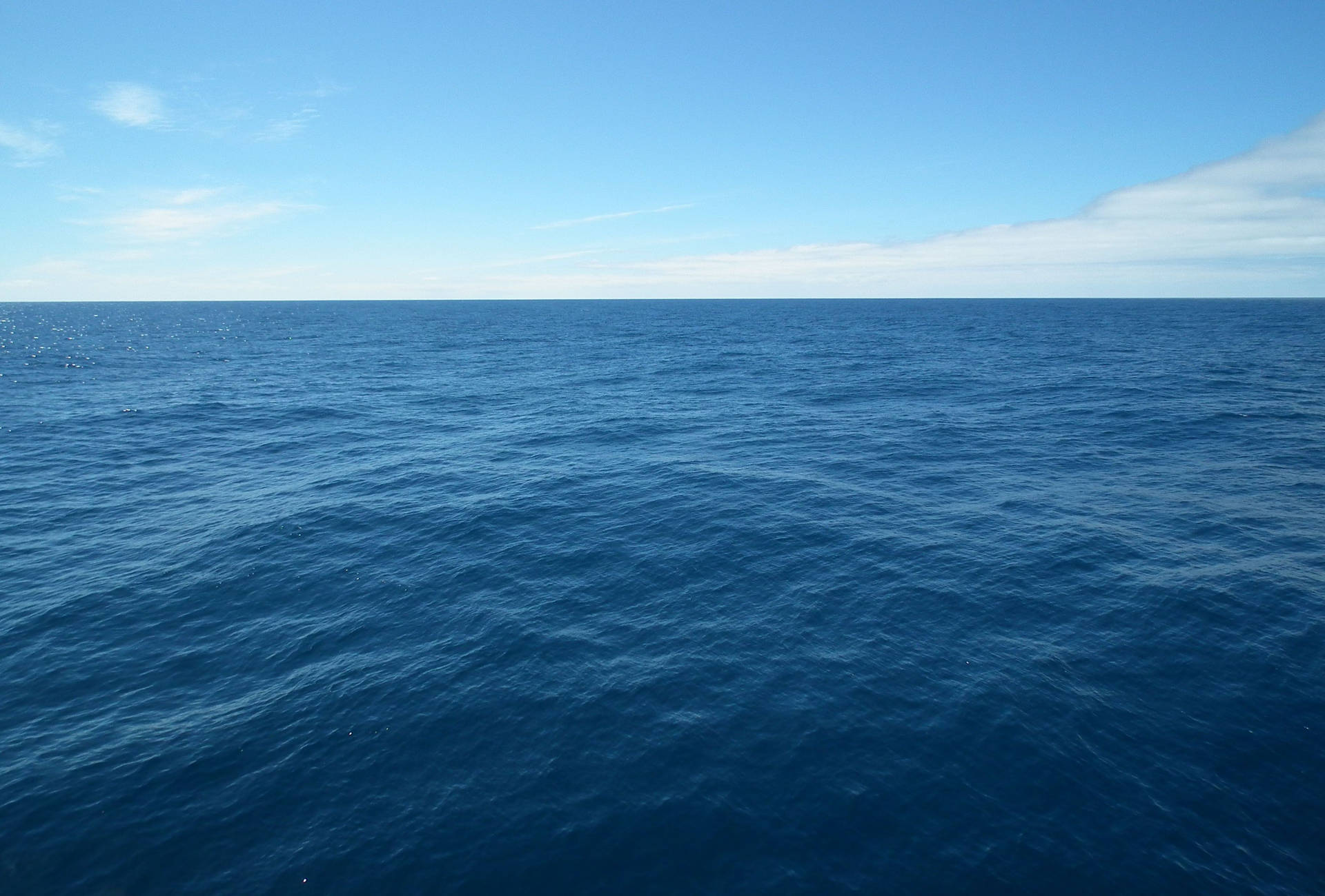 Ocean Horizon Background