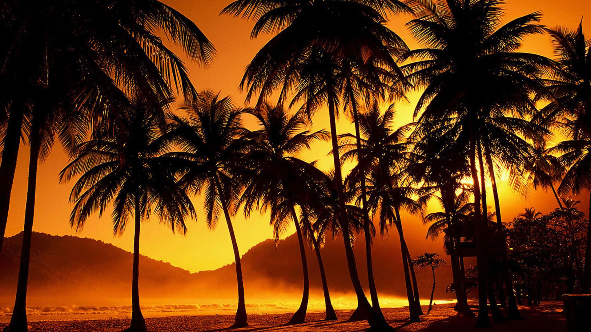 Ocean Palm Trees Maracas Beach Background