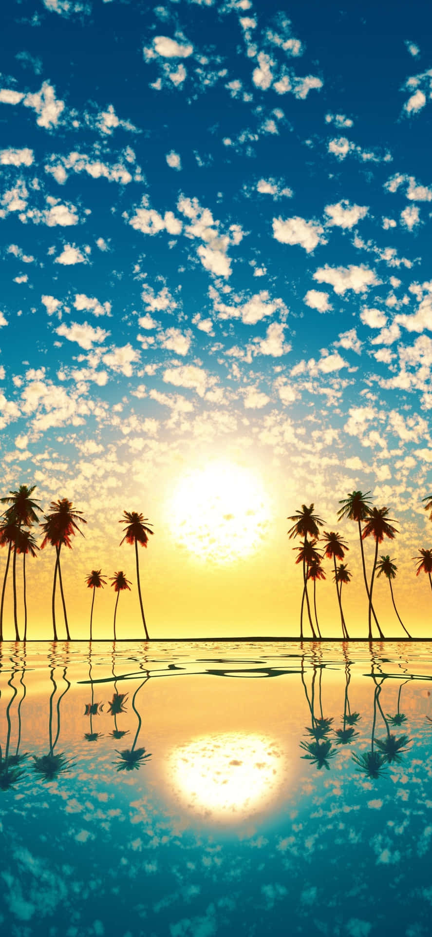 Ocean Reflection With Palm Tree Iphone Background