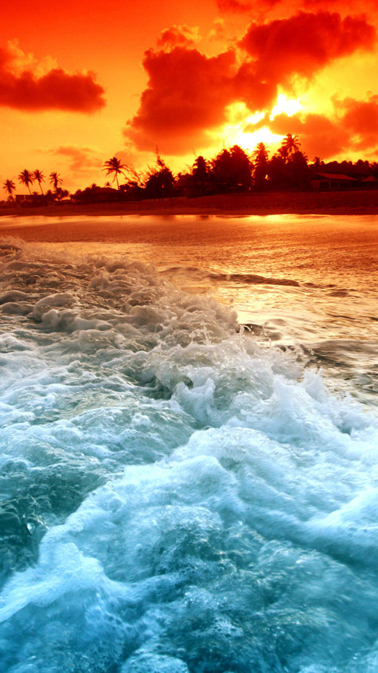 Ocean Sunset Iphone Stock Background
