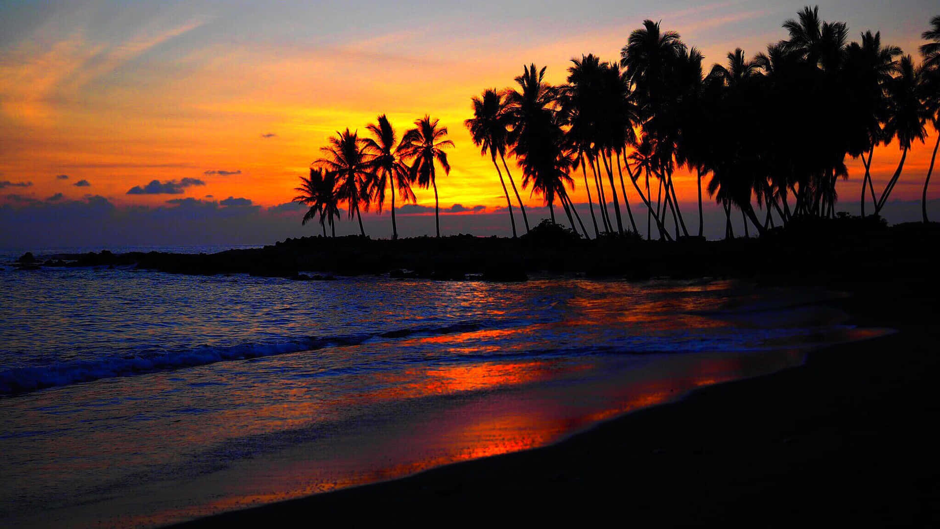 Ocean Sunset With Palm Tree