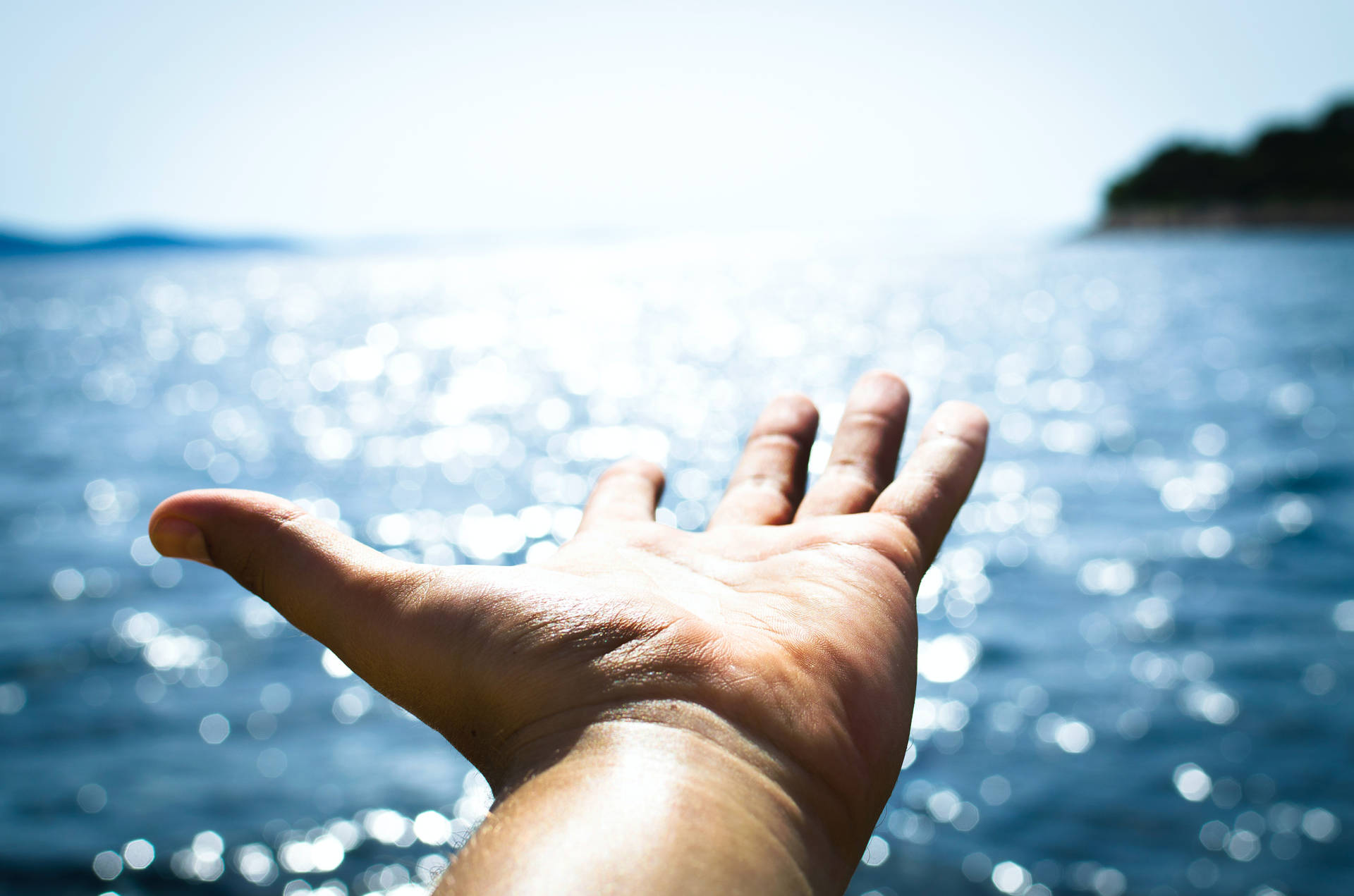 Ocean View Hands Background