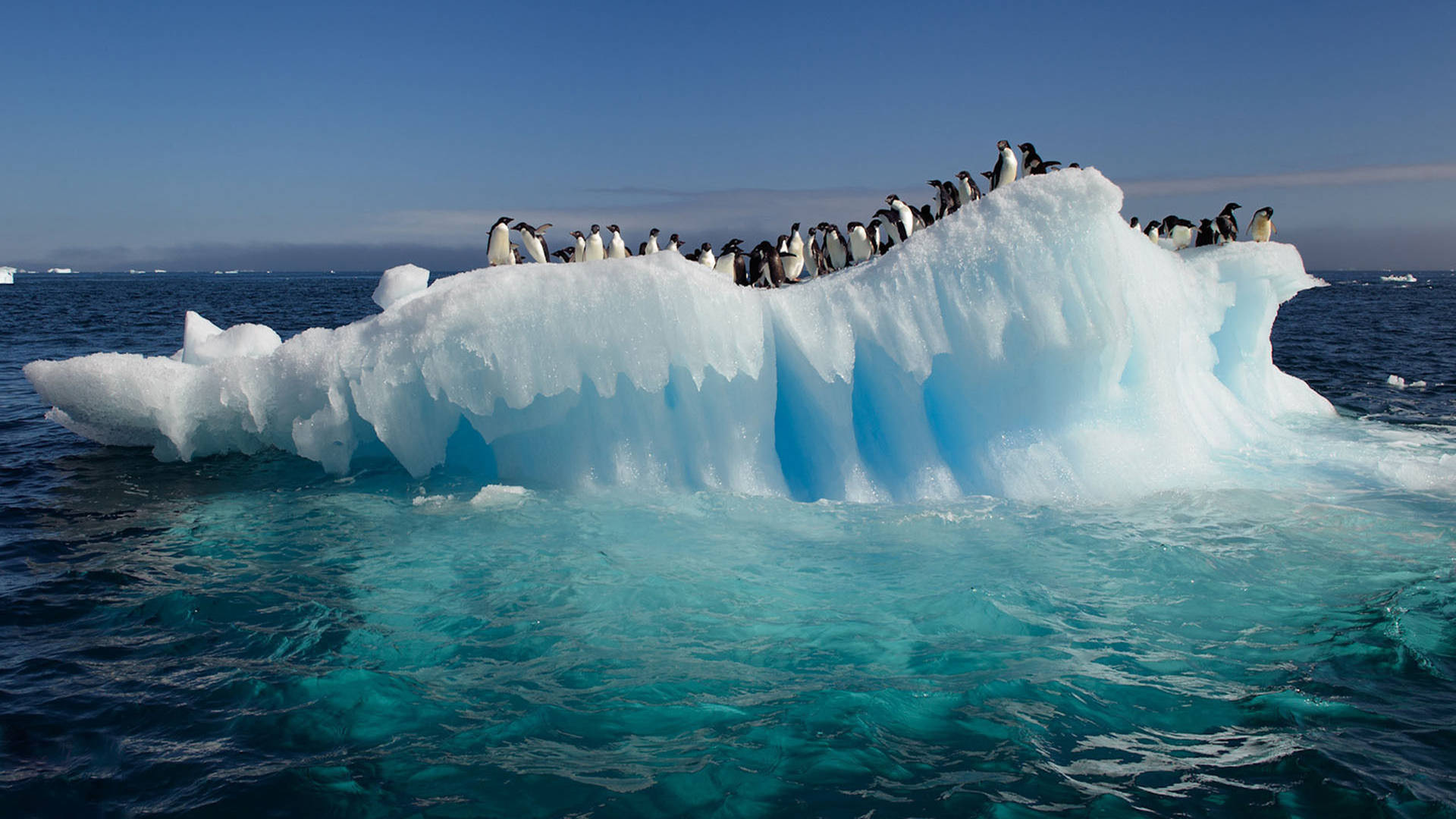 Ocean View With Iceberg Penguins Background
