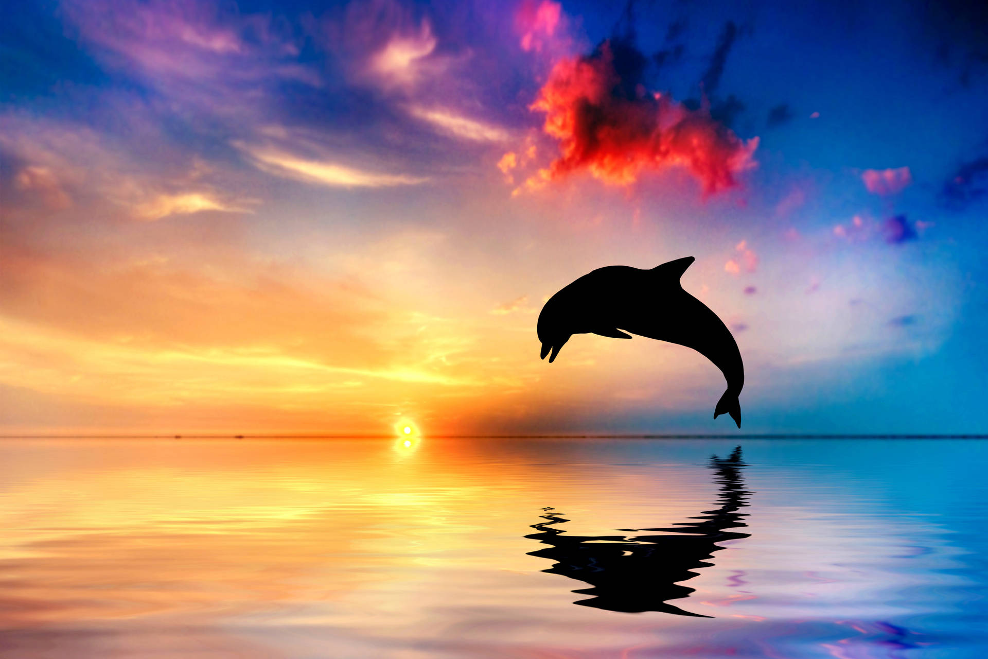 Ocean With Dolphin Background