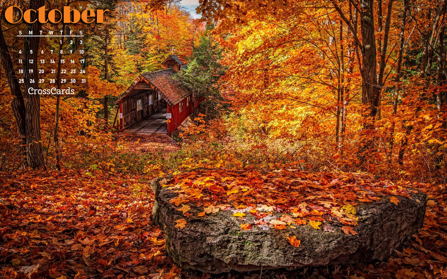 October 2020 Calendar Forest Background