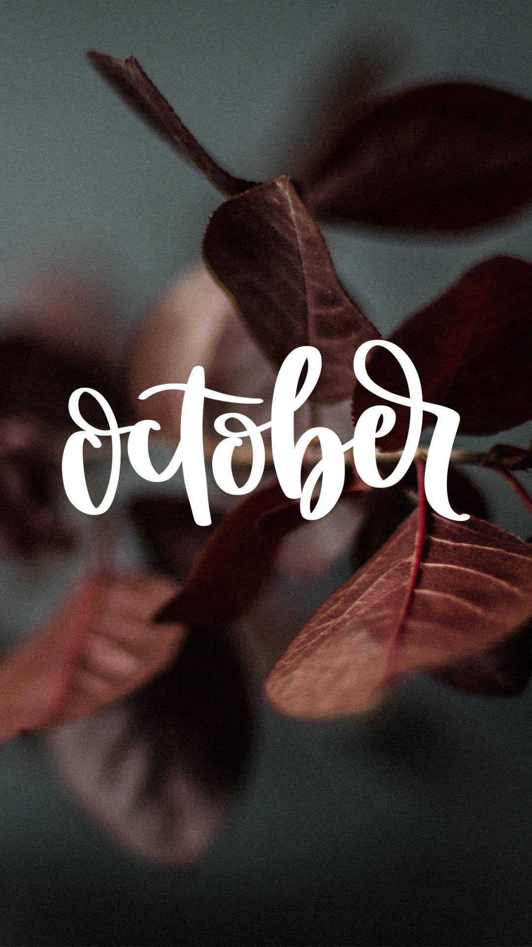 October Aesthetic Calligraphy Leaves Background