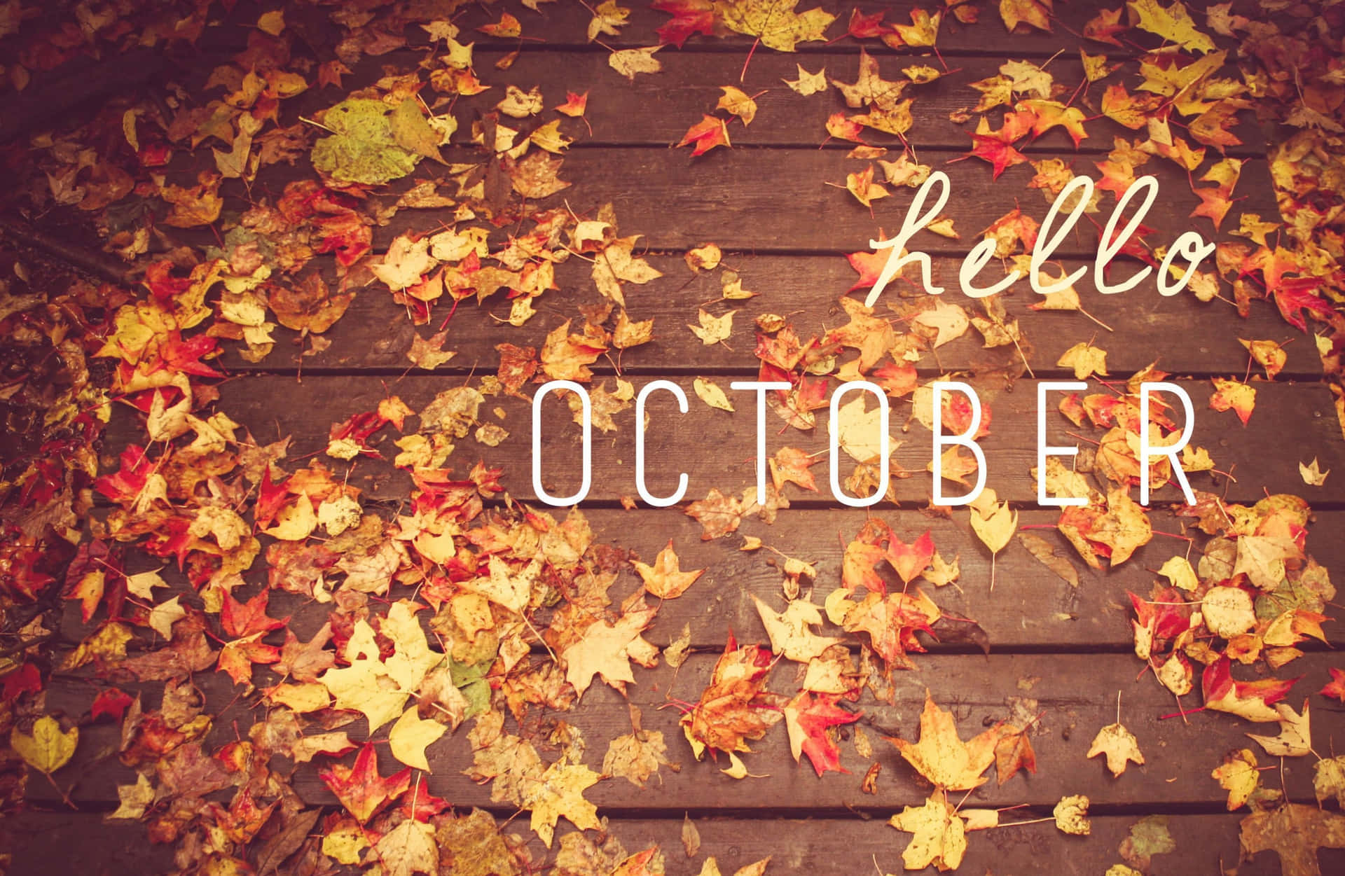 October Aesthetic Orange Brown Autumn