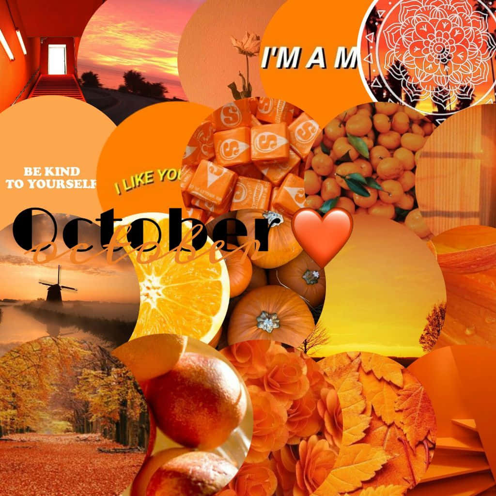 October Aesthetic Orange Collage