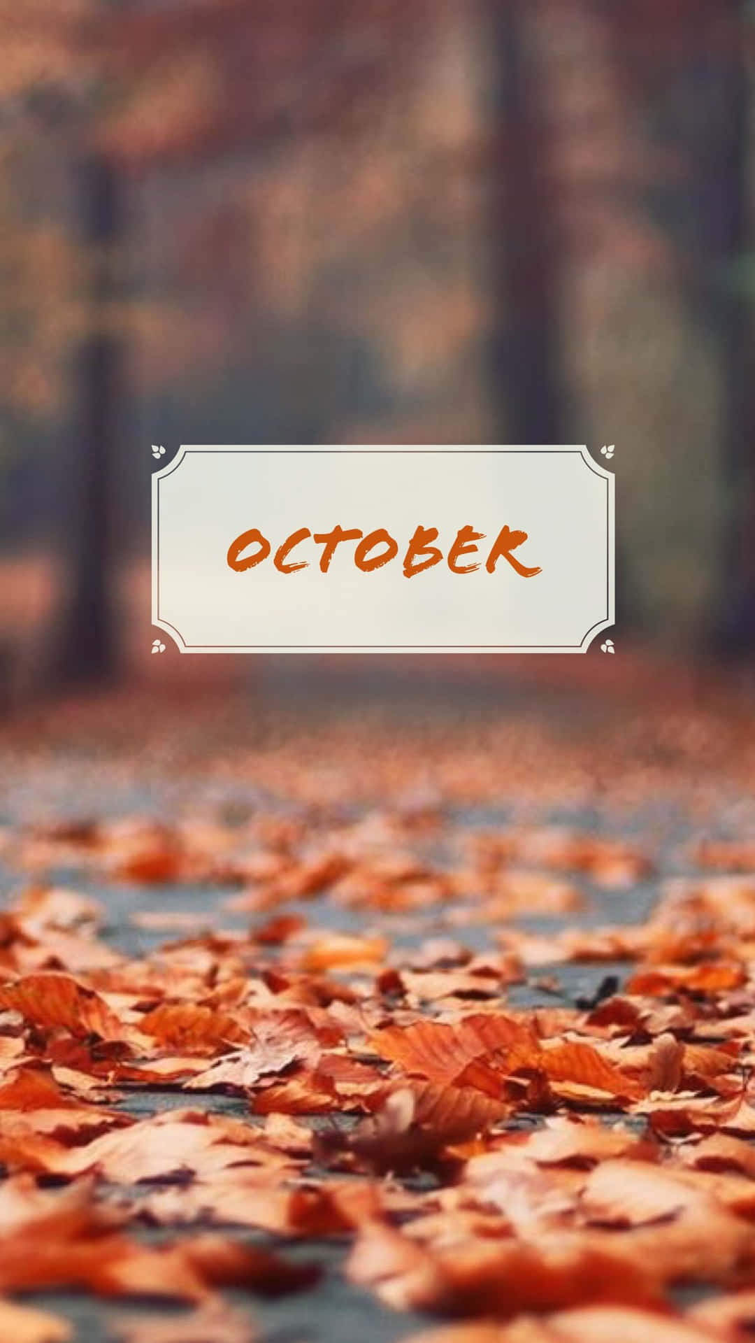 October Aesthetic Shallow Focus Background