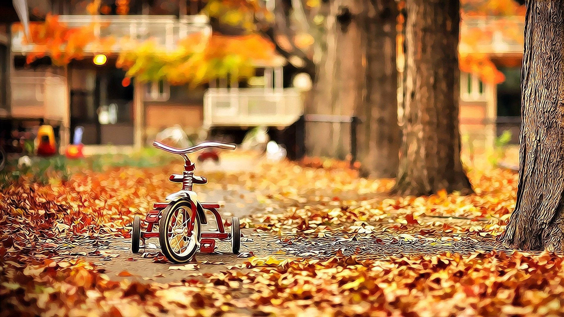 October Autumn Bike Leaves Background