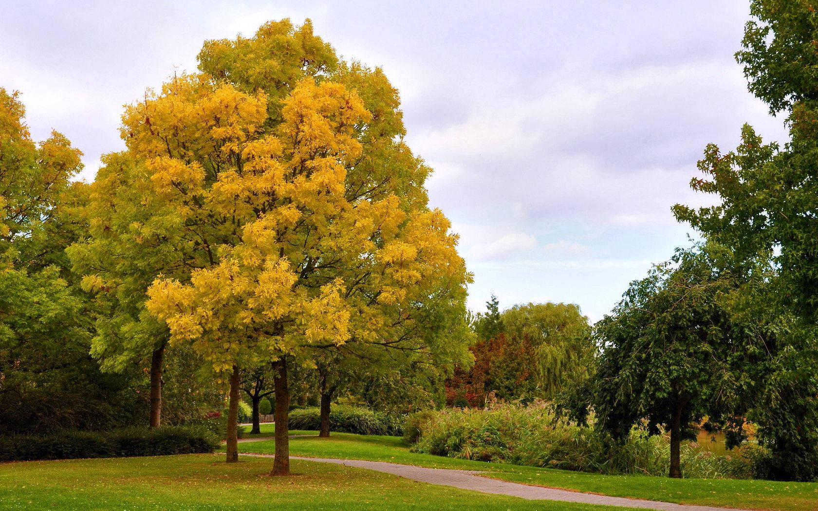 October Autumn Park Trees