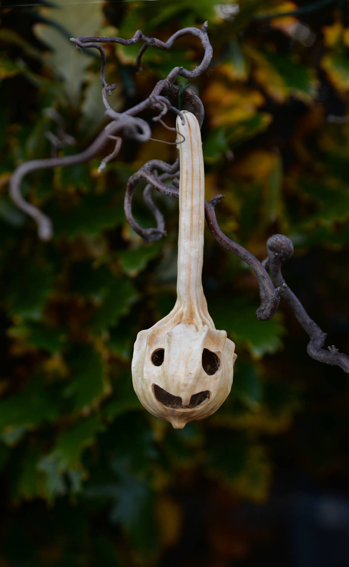 October Halloween Ghost Pumpkin Background