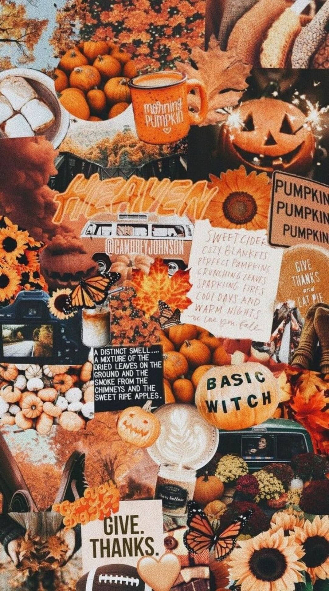 October Pumpkin Background