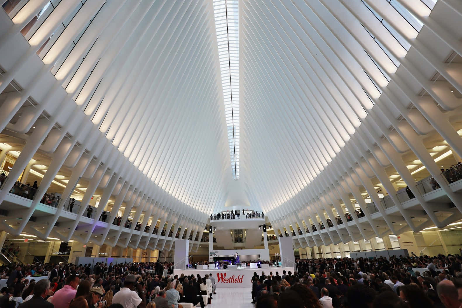 Oculus Interior Crowd Gathering Background