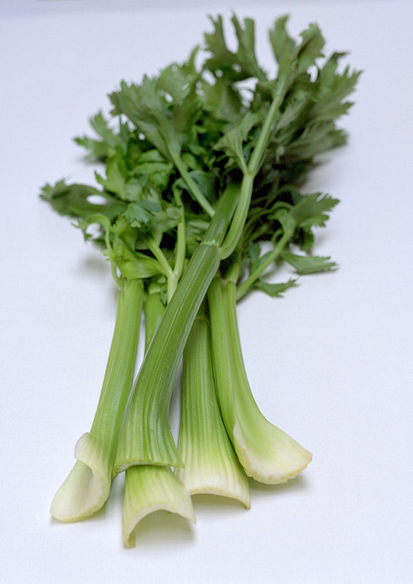 Odd Dry Celery Sticks Background