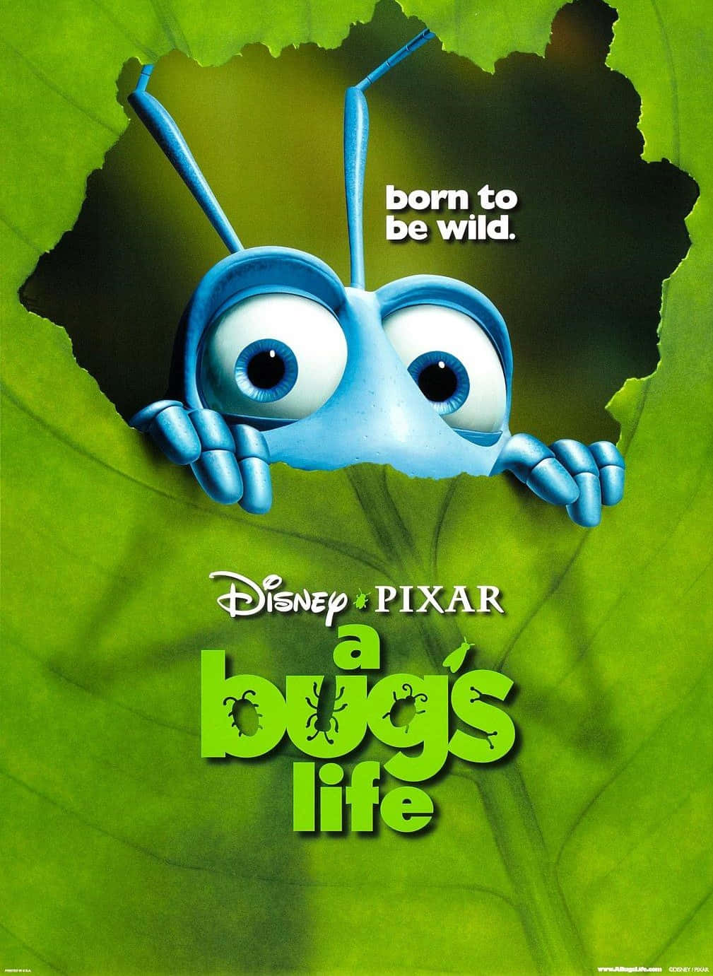 Official Ant Cover A Bugs Life Background