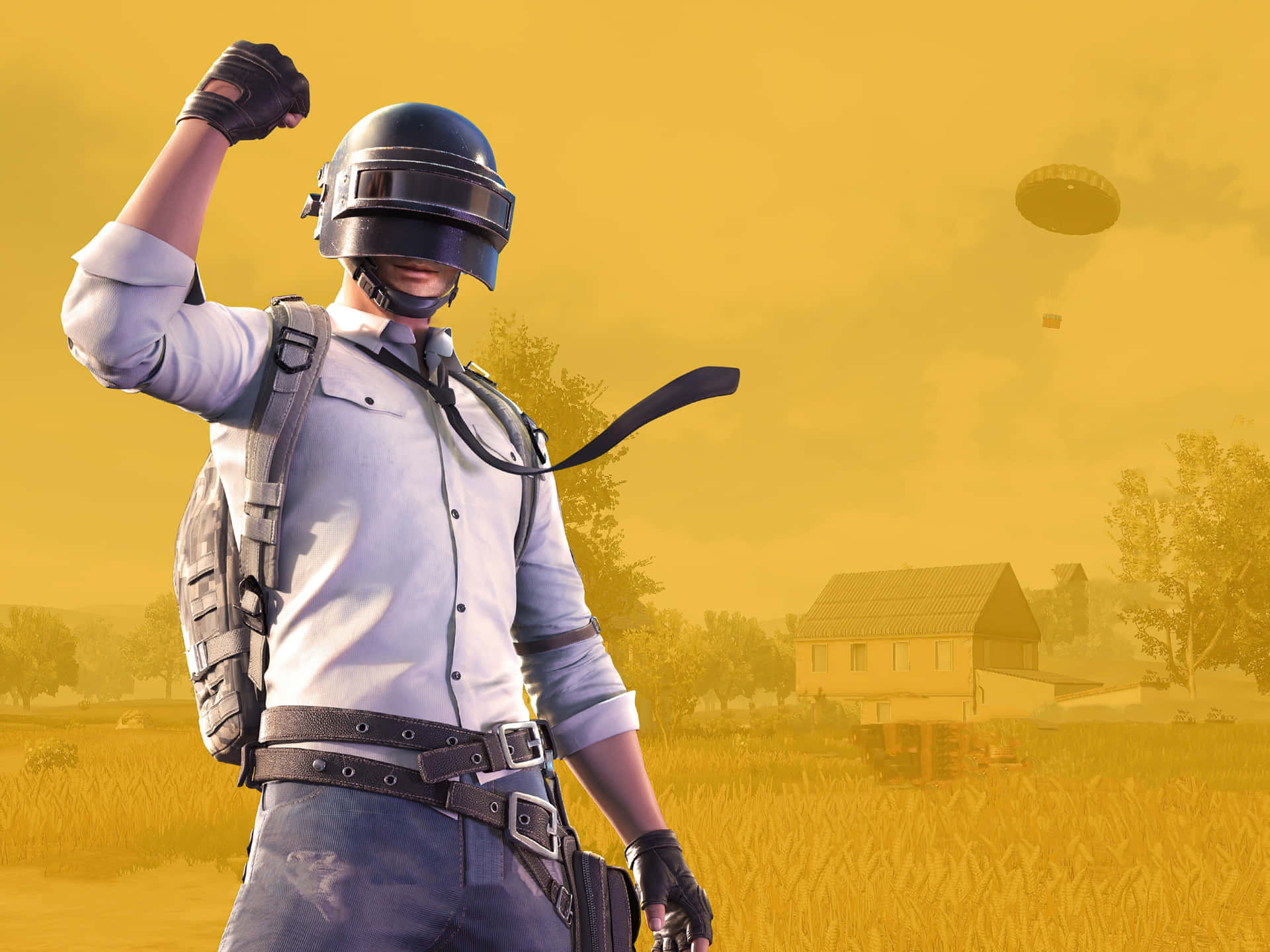 Official Logo Of Playerunknown's Battlegrounds Background