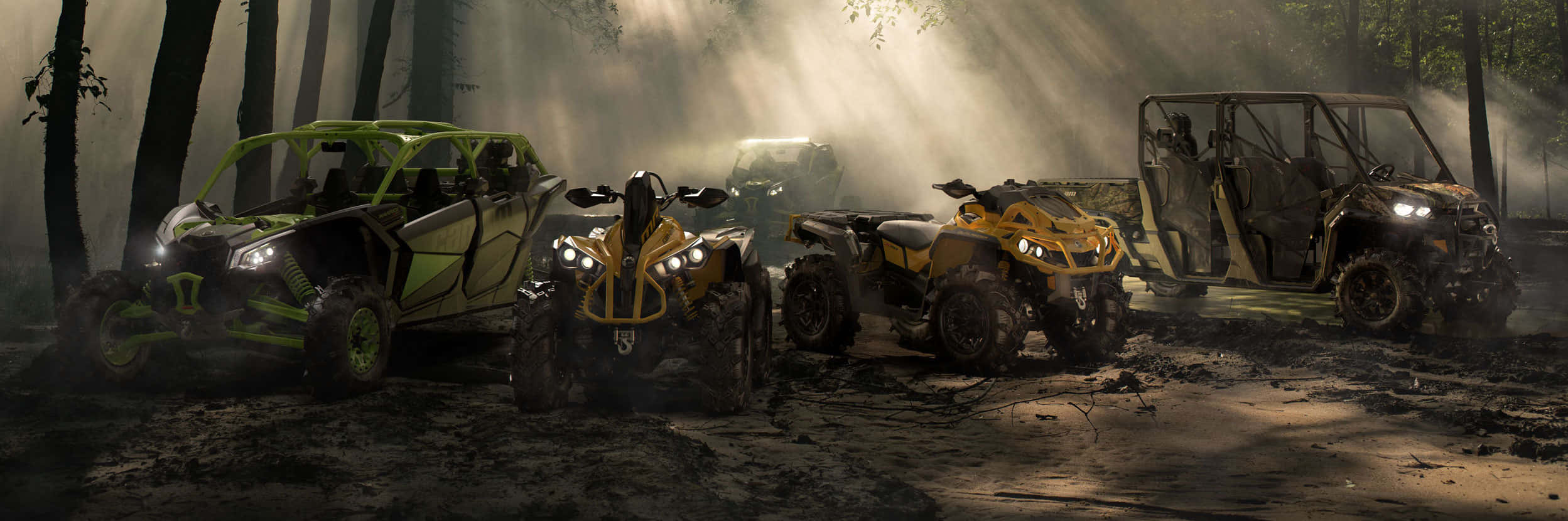 Offroad_ Vehicles_in_ Forest_ Dust Background