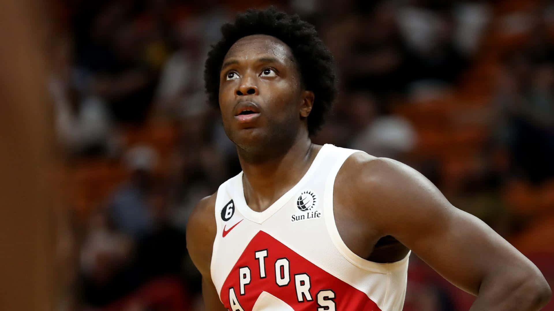 Og Anunoby Toronto Raptors Small Forward