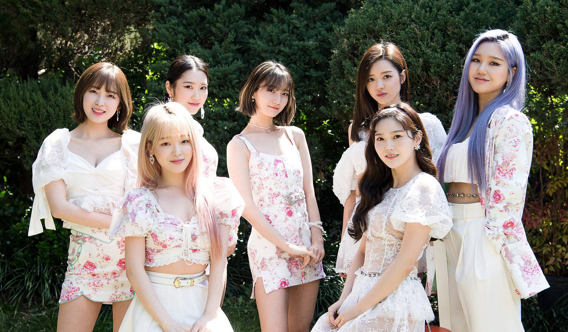 Oh My Girl White Floral Laces Background