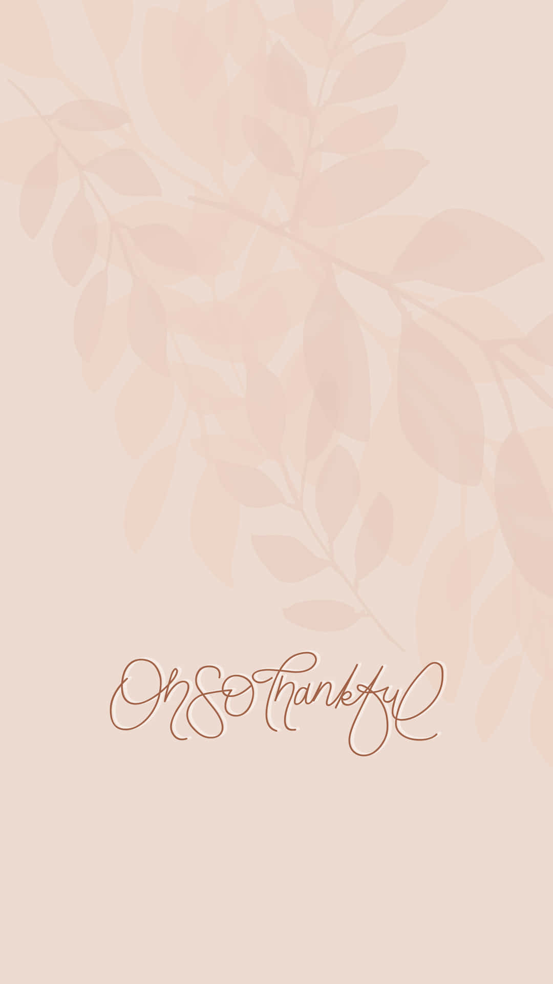 Oh So Thankful Pink Poster Background