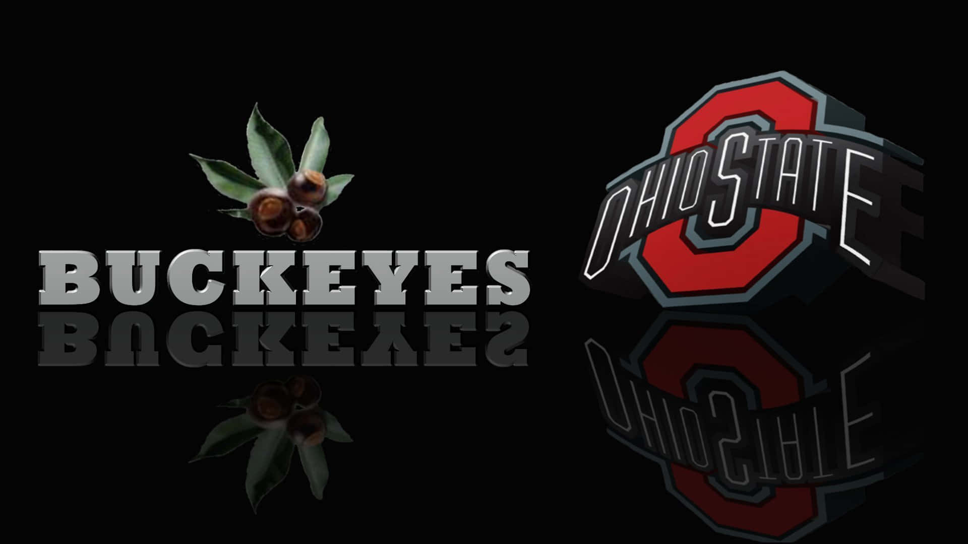 Ohio State Logo Next To Buckeye Leaves And Fruits Background