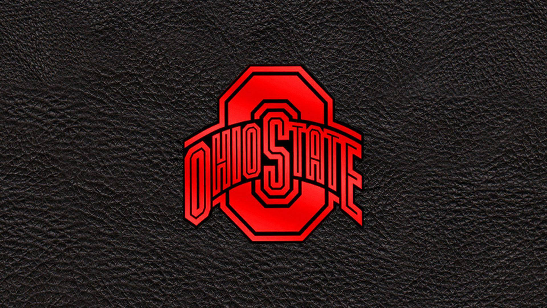 Ohio State University Leather Texture