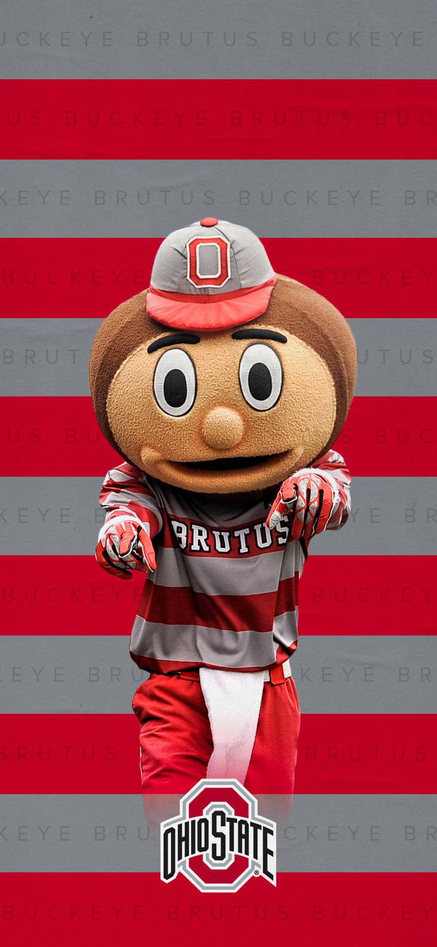 Ohio State University Mascot Portrait